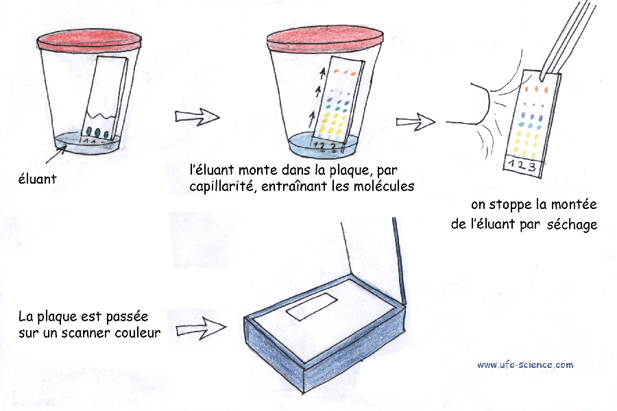 separation biomolecules