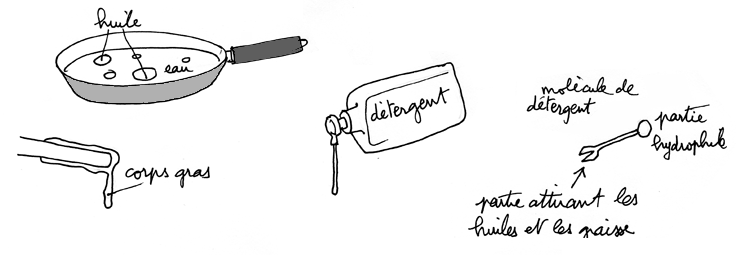 détergent