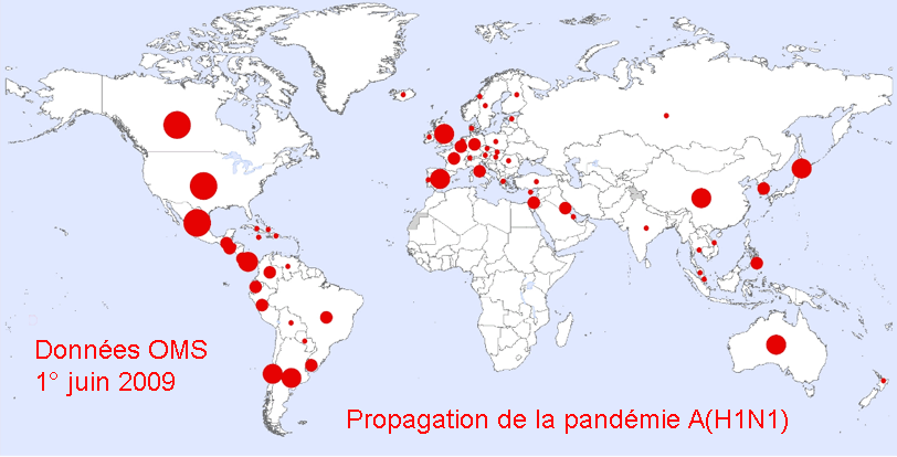 Propagation virus H1N1